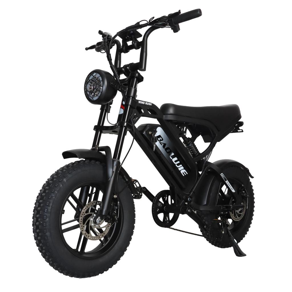 BAOLUJIE F2 500W Motor Off-Road Electric Bicycle 48V13AH Battery 45KM/H Top Speed 16 Inch All-Terrain Wide Tires City Commuting E- Mountain Bike