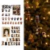 Acrylic Hanging Ornaments Christmas Advent Calendar for Cat Lovers 24 Day Countdown Box with Souvenir Collection Pendants Festive Tree Decor Holiday