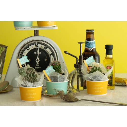 HEADS DWX-LTL1 Japanese-Made Wax Paper, White, 16.5 X 16.5 Cm, 100 Sheets, Food-Safe, Design Sheets