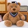 Dr. Bear Doll Plush Toy Graduation Hat Teddy Bear Student Graduation Memorial Gift Graduation Bear Doll