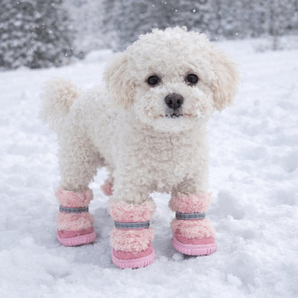 4 pcs/set Warm Dog Cotton Shoes Anti-Scratch Winter Dog Boots Puppy Booties Puppy Footwear  Walking
