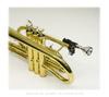 BERP Buzzing Practice Tool for Cornet #2