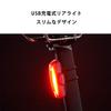 CatEye RAPID X Rücklicht für Sicherheit, USB-Licht, Wiederaufladbar, TL-LD700-R (Fahrrad Licht)