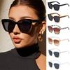 Fashion Street Shooting Cat Eye Sunglasses Photo Props UV400 Protection Female Retro Shades Leopard Eyewear for Women