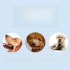 Corduroy Giraffe Squeaky Dog Toy Knotted Rope Leg Bite Resistant Teeth Cleaning Interactive Play Toy for Small Medium Dogs