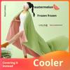 Watermelon Frozen Quilt, Cool In Summer, Cool Feeling In Summer, Ice Silk Air Conditioner, Ice Cream, Thin Quilt Core