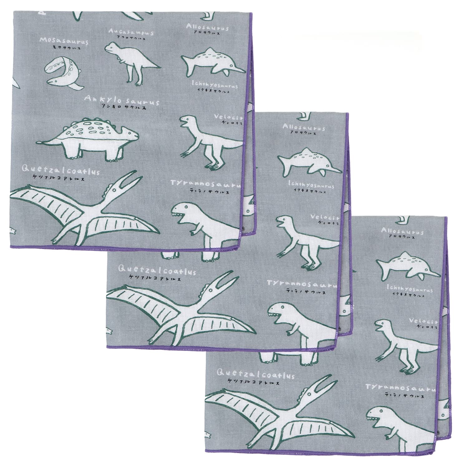 

KOMESICHI COLLECTION Gauze Set of Dinosaur Made in Iroha Mameo Series Handkerchiefs, 3, Design, Gray, Japan, 100% Cotton, 35x35cm,