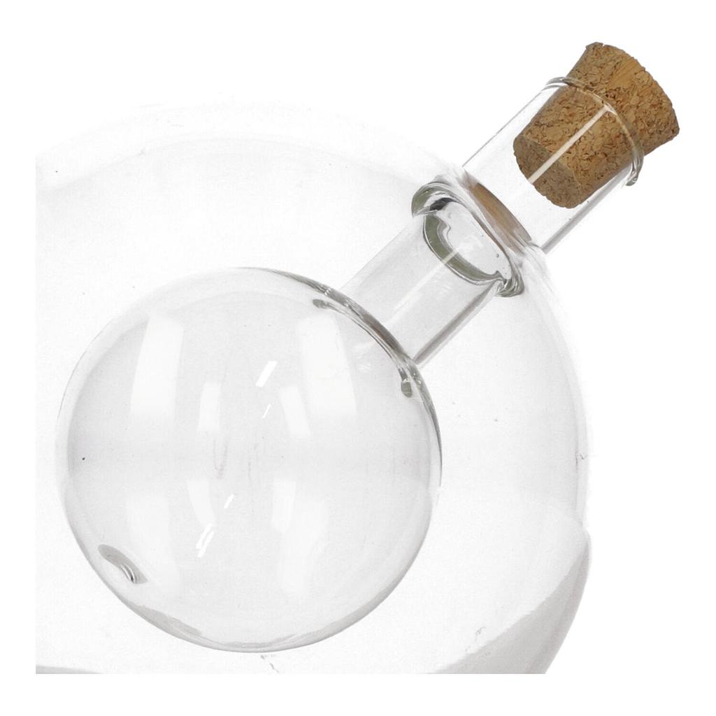 2 In 1 Glass Bottle For Oil And Vinegar 480 Ml