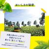 Lipton Yellow Label Tea Bags 120 Limited Edition
