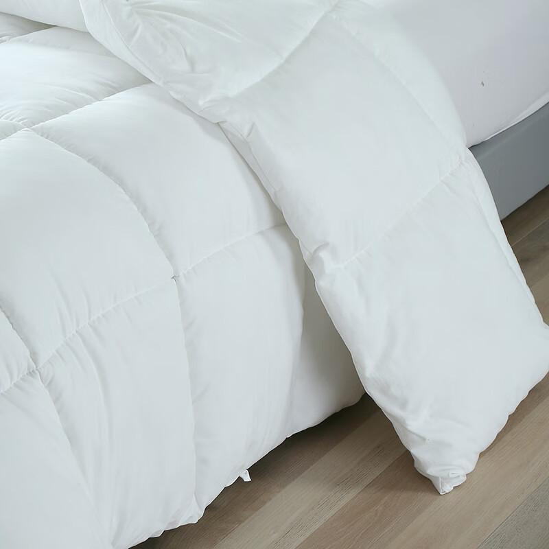 Purple Charm Antibacterial Cotton Blend Eight-Hole Summer Quilt