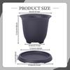 Bonsai Pot Flower Planter Training Bowl with Drainage System And Moisture Storage Made of PP for