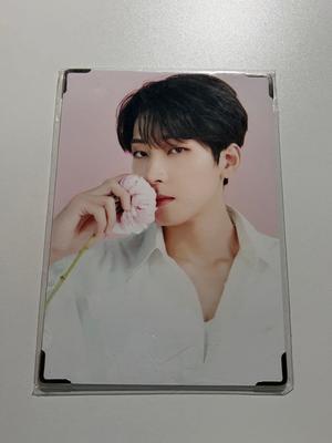 [USED] SEVENTEEN Seventeen Wonwoo Seventeen Cafe Premium Photo Korea Exclusive
