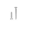 304 Stainless Steel Phillips Flat Head Self-Tapping Screws