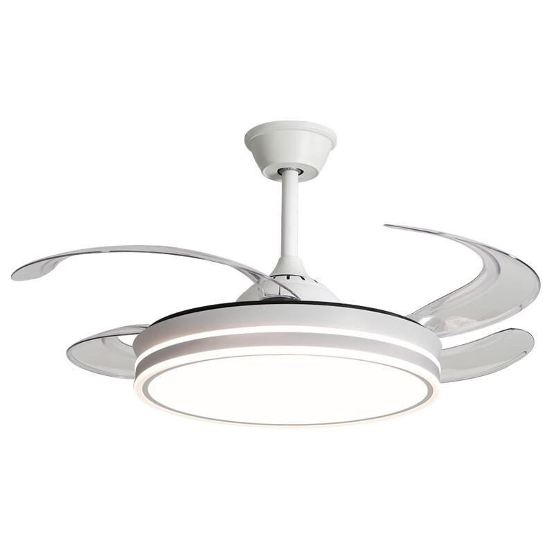 Modern LED Ceiling Fan Light