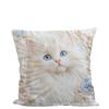Sofa Pillow Pillowcase Skin-friendly Short Plush Cute Animal Cat Pillow Cover Living Room Cushion Cover Without Core
