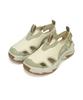 Discovery Expedition Wave C (Beige2) (B Type)