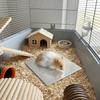 Bite Resistance Pet Cooling Mat Fast-cooling Hamster Heat Dissipation Plate  for Guinea Pig Rabbit