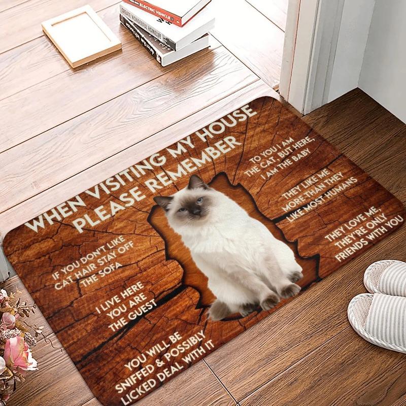 Corgi Themed Funny House Rules Living Room Door Mat Carpet Wood Texture Cute Corgi Pattern Humorous Visitor Notice Home Decor