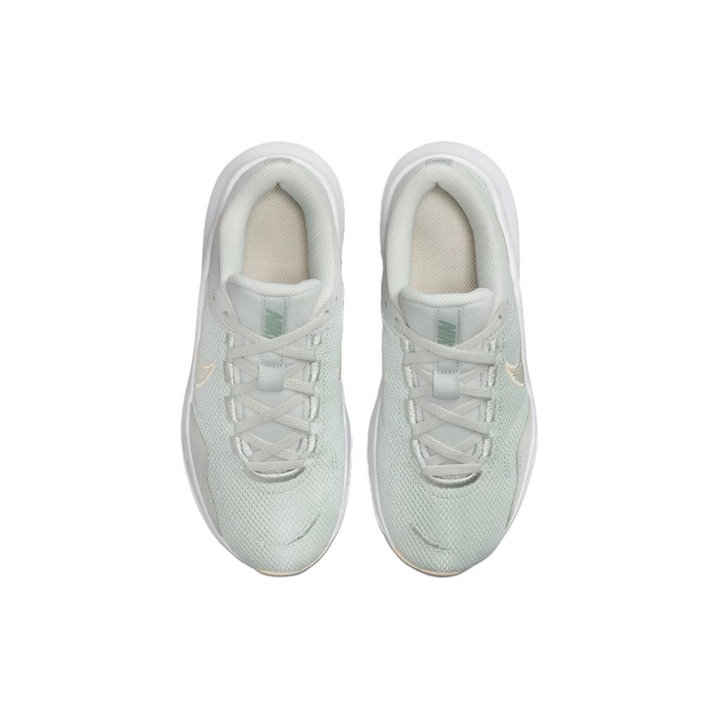 Nike Legend Essential 3 Next Nature Women Light Silver Mica Green Guava Ice DM1119-007