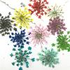 30PCS/Bag Dried Flowers Decor DIY UV Resin Mold Fillings Nail Art Flowers Stickers For Jewelry Making Home Decoration Handicraft
