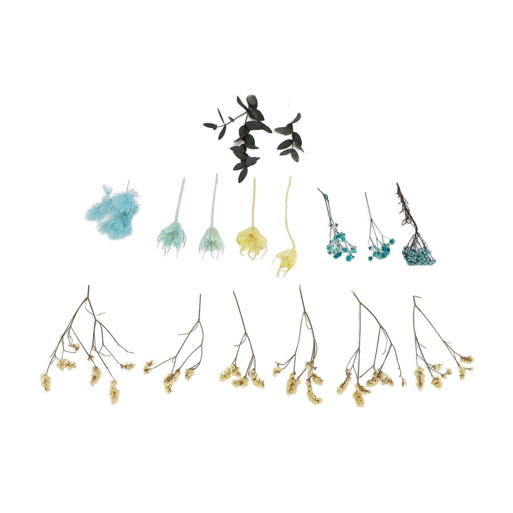 Dried Flowers Natural Odorless Exquisite Bouquet Making Materials DIY Dried Flowers for Tabletop Party Decoration