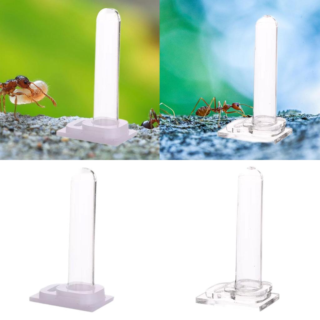 PET Water Cup Kit Reusable Acrylic Feeding Box PET Nest Water Dispenser, Water Storage Bowl for Nest Entrance, PET Drinking Cup