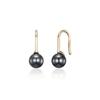 LUNNE 14k Hematite Gemstone Hook Earrings (14k Gold) #LFE31