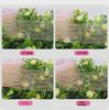 Lace Double Eyelid Stickers: Breathable, Flesh-Colored Mesh for Natural Beauty