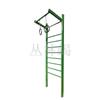 Jungle Scorpion Outdoor Ground-Mounted Pull-up Bar