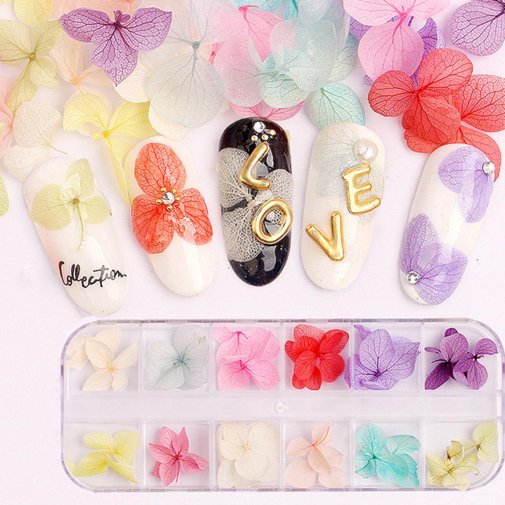 Dried Flower Nail Decoration Nail Art Accessories Vibrant Floral Nail Art Supplies 12 Colors of Natural Dried for Manicure