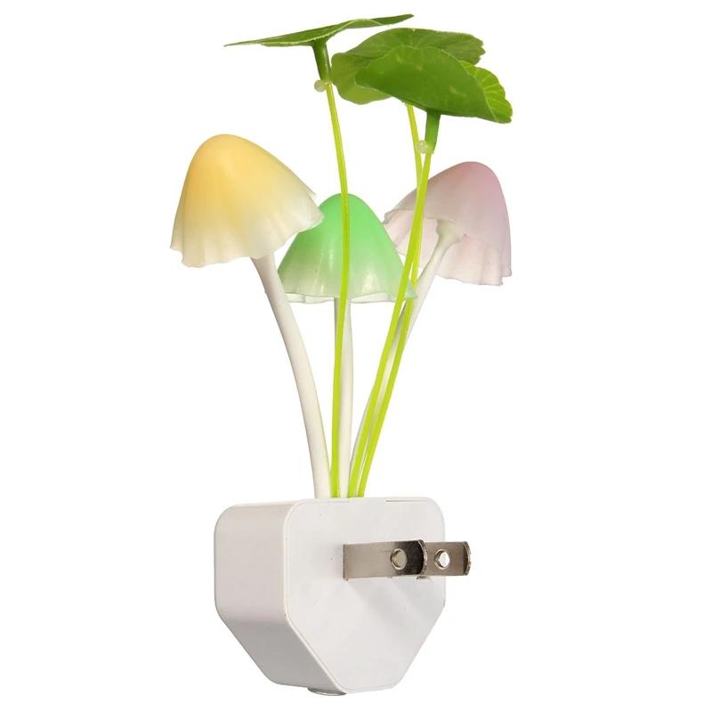 Motion Sensor