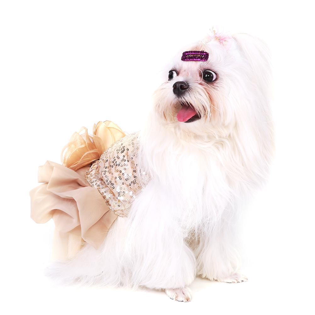 Summer Pet Cloth Small Dog Dress Puppy Sequined Princess Bubble Skirt Wedding Costume (Gold M)
