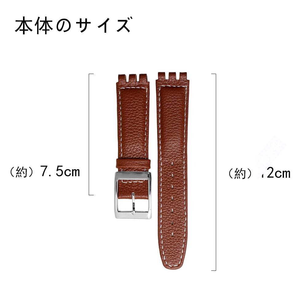 ZHUOLEI Swatch Watch Includes 3 Spring Spring Bar and Box Strap, 17mm/19mm, Bars, Remover,