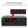SHILE Professional Conference Audio System CN plug (adapter included)