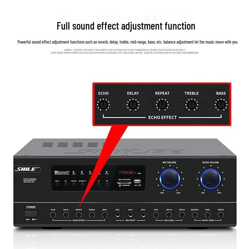 SHILE Professional Conference Audio System CN plug (adapter included)