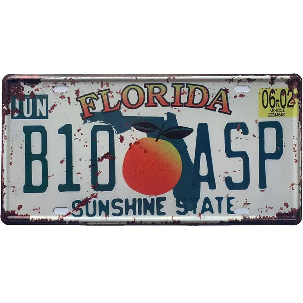 Targa vintage in metallo arrugginito, targa personalizzata anteriore per auto, novità, vecchia targa, garage, bar, club, caffetteria, decorazione