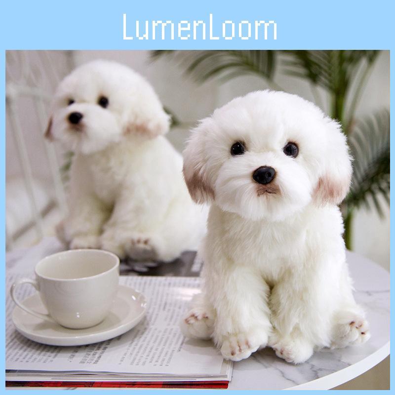 Dog Maltese Plush Toy Animal Stuffed Doll Home Bedroom Decoration Gift Kids