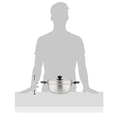 Wahei Freiz Tsubame-Sanjo Overflow Resistant Pot, 23cm, with Lid, Stainless Steel, Induction and Gas Compatible, Enzo (EM-009)