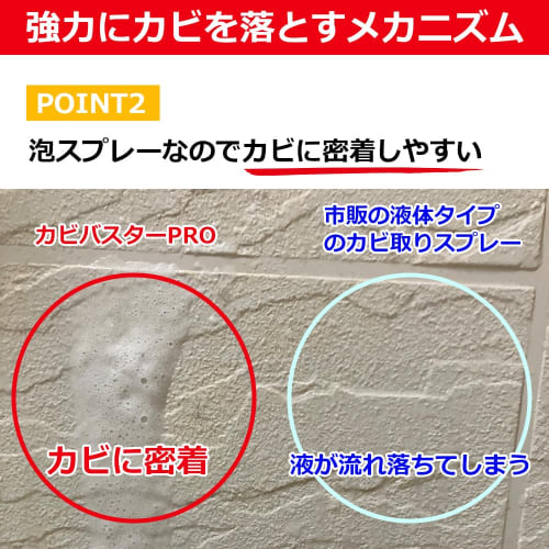 Souma PALCCOAT Mold Buster PRO 300ml, a Powerful, Highly Concentrated Foam Mold Remover for Professional Use (bathroom, Rubber Seals, Wallpaper)