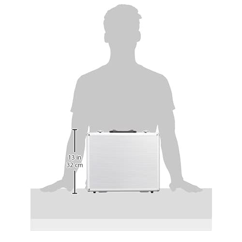 JEJ Astage Aluminum Tool Case AL-A003, 35.6cm Wide x 10.3cm Deep x 31cm High