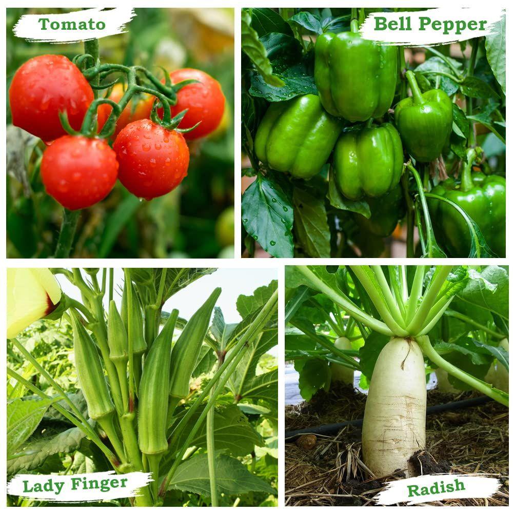 Geo Rectangle Grow Bag with Supporting PVC Pipes for Home Garden | Geo Fabric 450 GSM (Pack of 1)