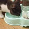 Automatic Pet Feeder 3.5L Large Capacity Cat Dog Food Water Dispenser Smart Timer Pet Supplies Feeding Bowl