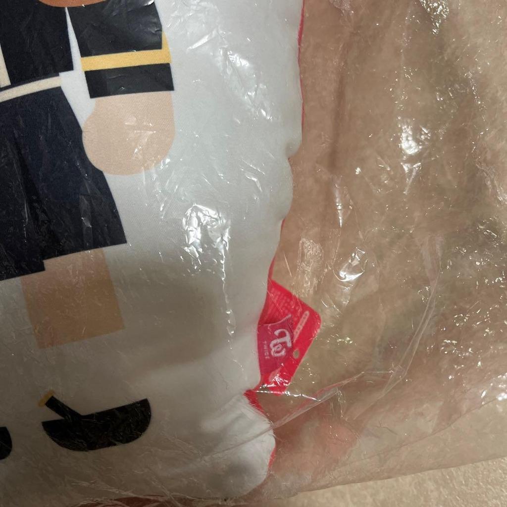 [USED] TWICE Chaeyoung Character Cushion Dudun-i