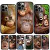 NEW ORANGUTAN monkey BABY Phone Case Cover For iPhone 17 Air 15 16 14 13 12 Pro Max 11 Pro Max Plus Coque Shell