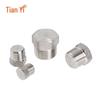 316 Stainless Steel External Hex Plug