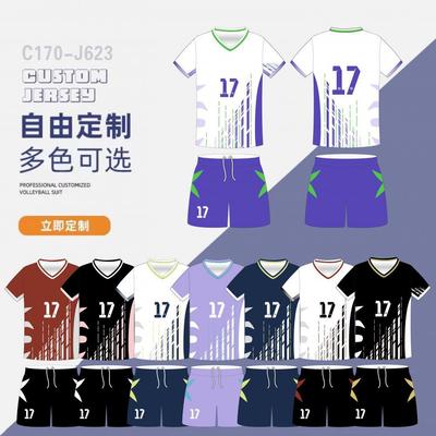 Handball Jersey, Short-Sleeved Set, Jersey, Volleyball Jersey, Sportswear, Comfortable Tennis Training Jersey.