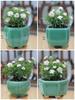 Ceramic Purple Clay Succulent Bonsai Pot - High-End Glazed Mini Flower Pot 