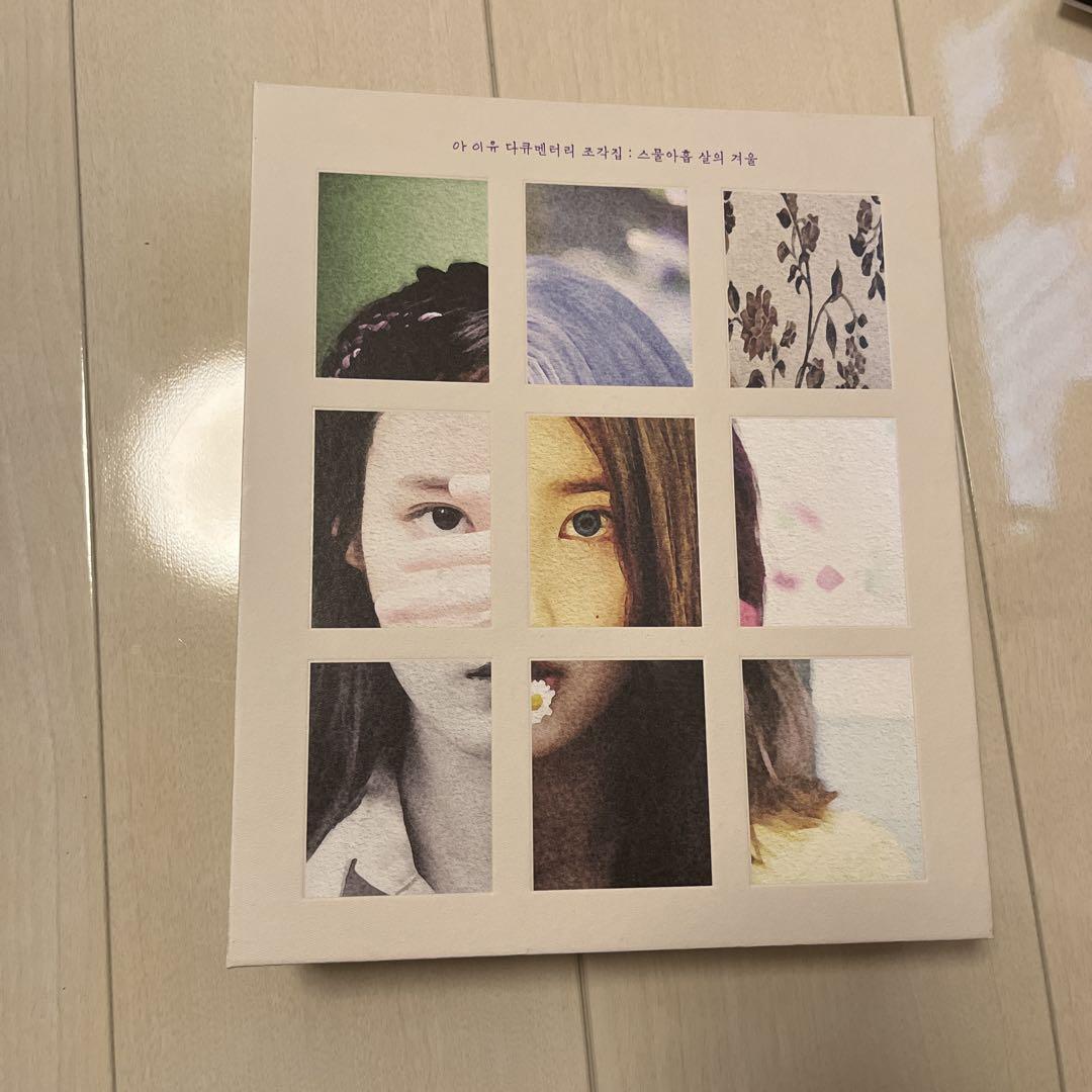 

[USED] IU Documentary Sculpture Collection 29 Years Old Winter Documentary