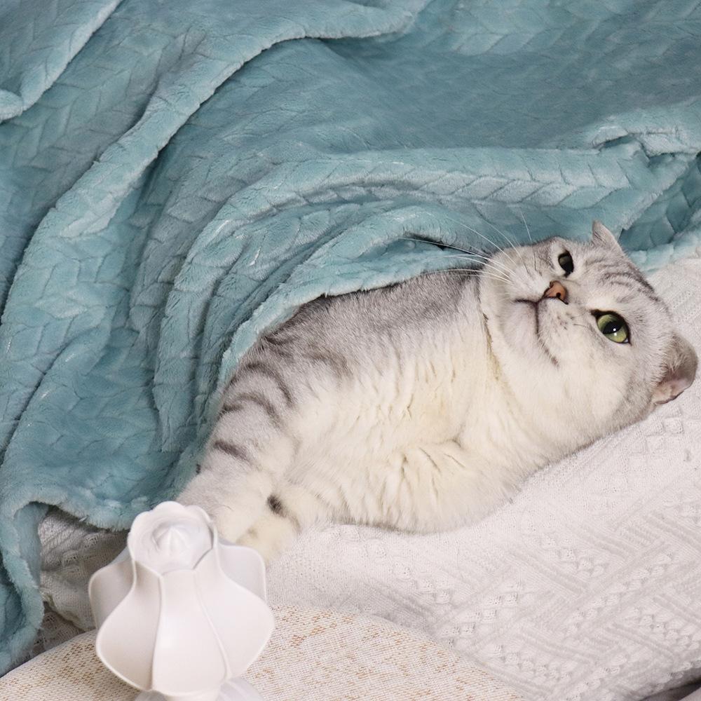 Wheat Fringe Fleece Small Blanket Pet Blanket Cat Cover Blanket Nest Cushion Dog Warm Cover Blanket Coral Fleece Blanket Thickened Blanket