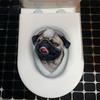 Selbstklebende Toilettenaufkleber 3D Katze Hund Toilettensitz Aufkleber Lustiger Wandaufkleber Heimdekoration
